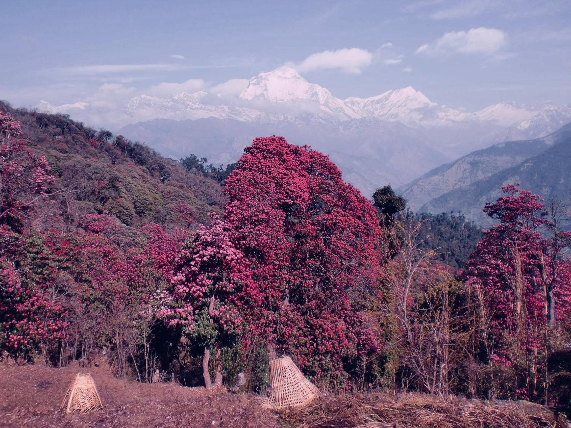 Hotel Annapurna View Sarangkot Pokhara Exterior foto
